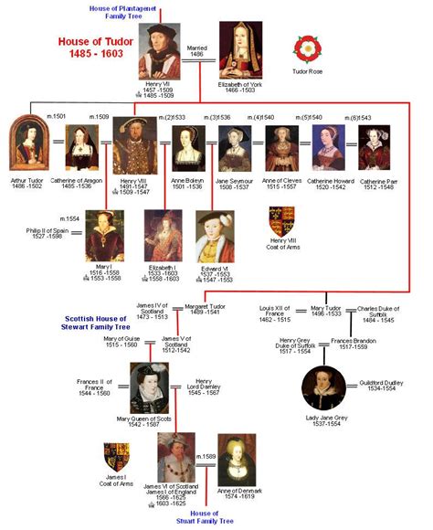 house of tudors family tree.